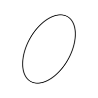 O-ring
