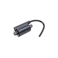 ELECTRICAL COIL