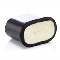 MANN Luftfilter CP 25 150