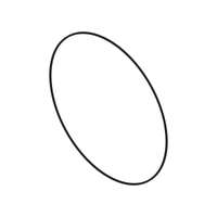 O-ring