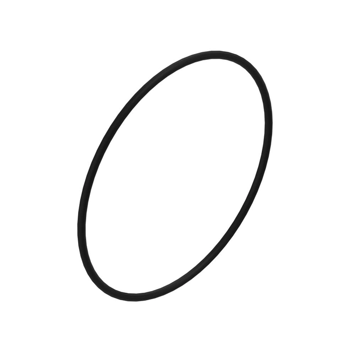 O-ring