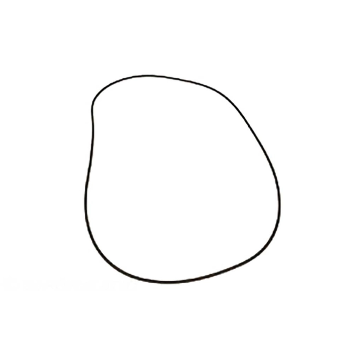O Ring
