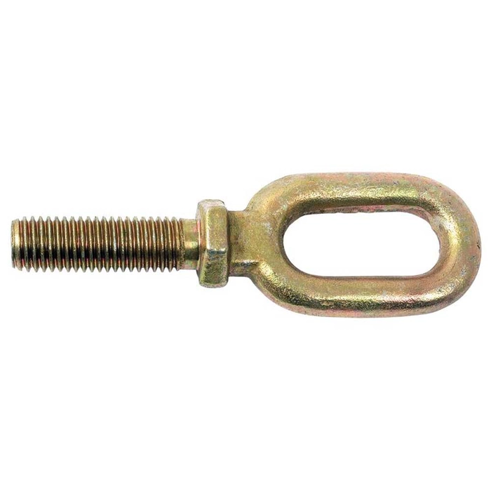 CHECK CHAIN EYEBolt                