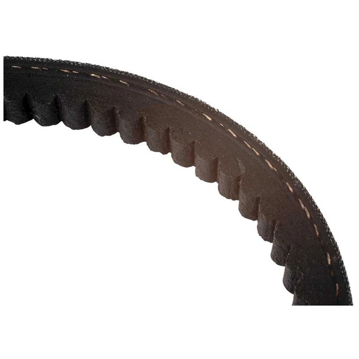 RAW EDGE COGGED BELT AVX13X1675    