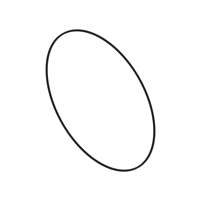 O-ring
